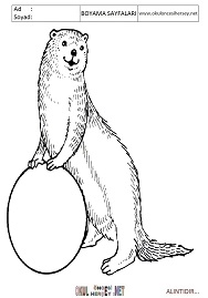 Su-Samuru boyama sayfaları